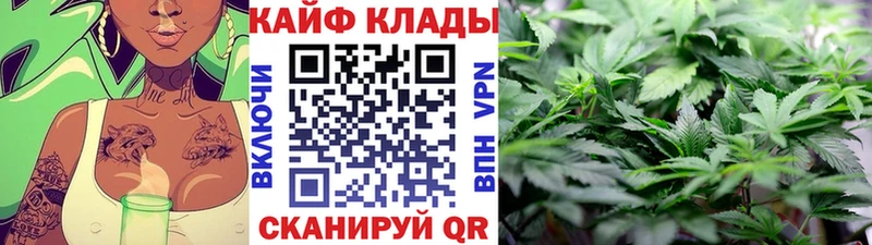 Купить Боровичи мега маркетплейс Codein Амфетамин ГАШ Alpha PVP Псилоцибиновые грибы Каннабис