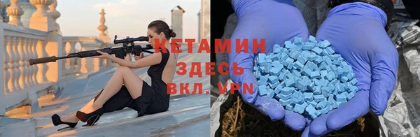 крисы Армянск