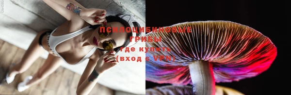 синтетический гашиш Арсеньев