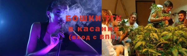 крисы Армянск