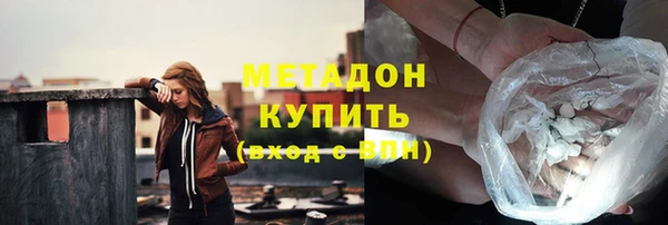 хмурый Аркадак