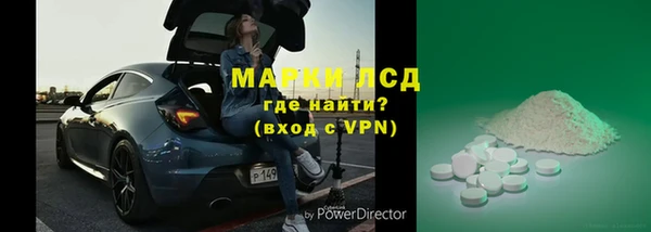 хмурый Аркадак