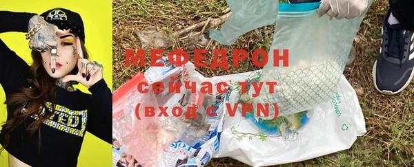 хмурый Аркадак