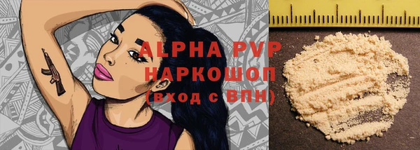 хмурый Аркадак