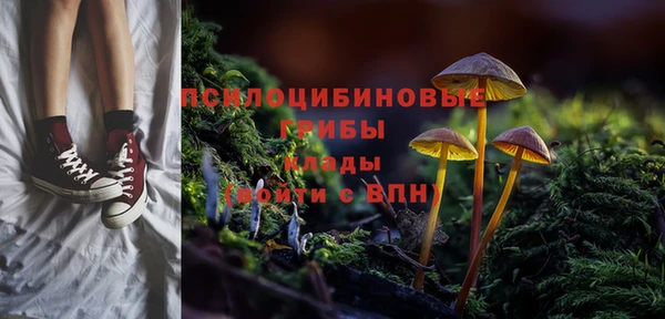 мескалин Балахна