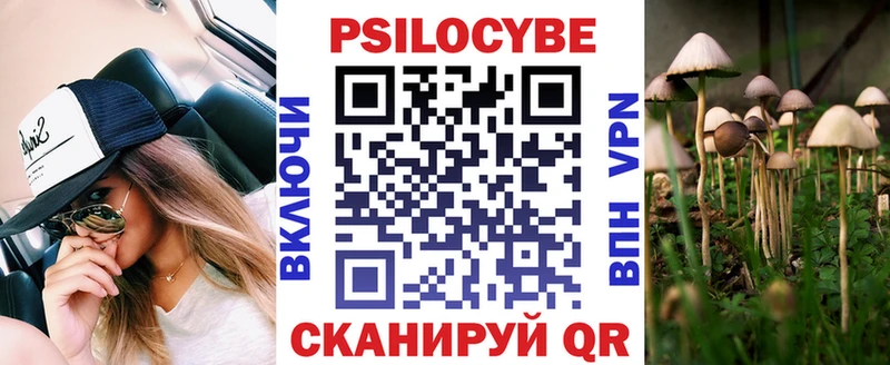маркетплейс Telegram как найти Боровичи Псилоцибиновые грибы мицелий
